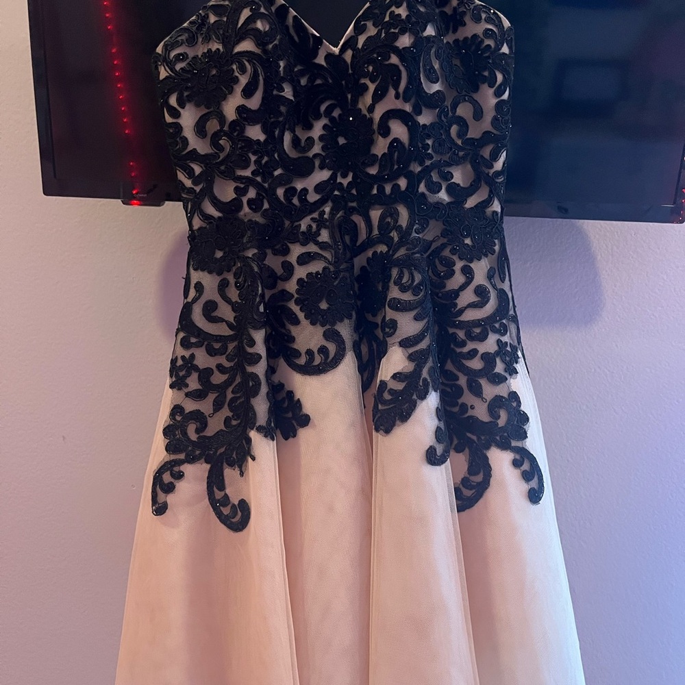 Elegant Black and Cream Dress